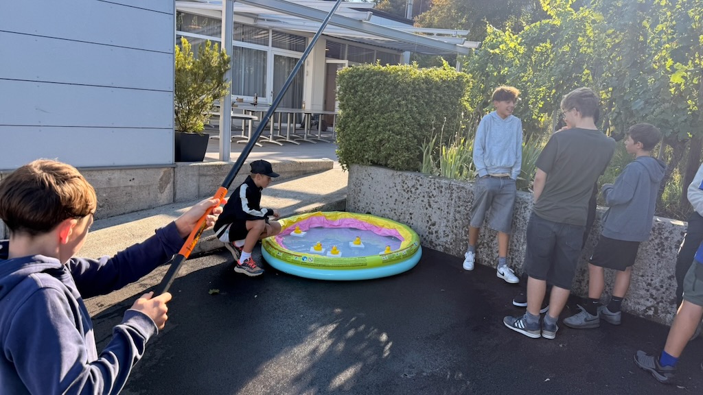 IMG 2682
